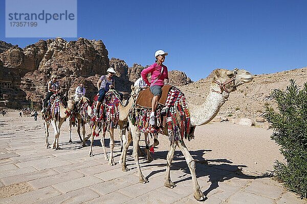 Touristen reiten auf Kamelen (Camel dromedarius) auf Kolonnadenstraße  Petra  antike Hauptstadt der Nabatäer  UNESCO Weltkulturerbe  Königreich Jordanien