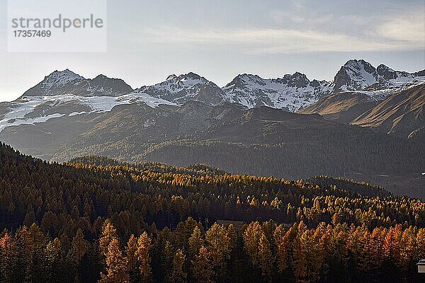 Bündner Alpen nähe Pontresina mit herbstlich gefärbten Lärchen  Engadin  Kanton Graubünden  Schweiz  Europa