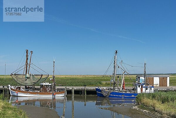 Krabbenkutter im Naturhafen  Spieka  Niedersachsen  Deutschland  Europa