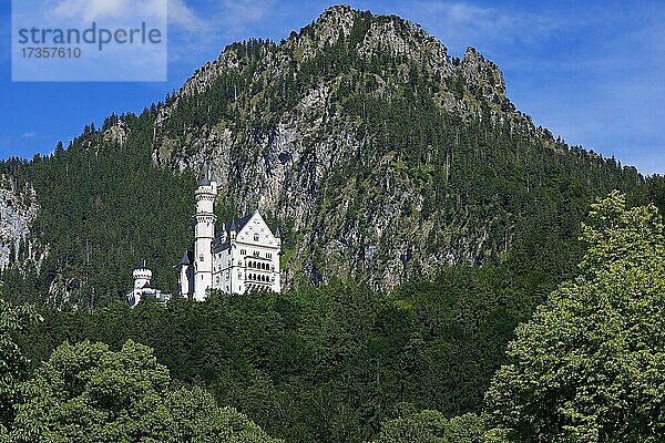 Schloss Neuschwanstein  Märchenschloss  Schwangau  Königswinkel  romantische Straße  Füssen  Ostallgäu  Allgäu  Schwaben  Bayern  Deutschland  Europa