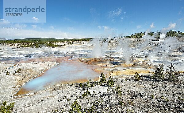 Heiße Quellen  bunte Mineralienablagerungen im Porcelain Basin  Noris Geyser Basin  Yellowstone Nationalpark  Wyoming  USA  Nordamerika