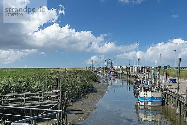 Kutterhafen  Spieka  Niedersachsen  Deutschland  Europa