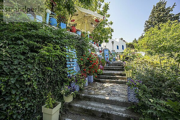 Mit Blumen gesäumter Weg  Gasse im Ort Zia  Kos  Dodekanes  Griechenland  Europa