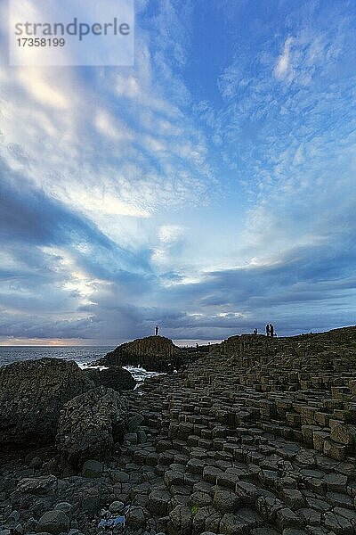 Küste mit Basaltsäulen am Abend  Giant's Causeway  Causeway Küste  Antrim  Nordirland  Großbritannien  Europa