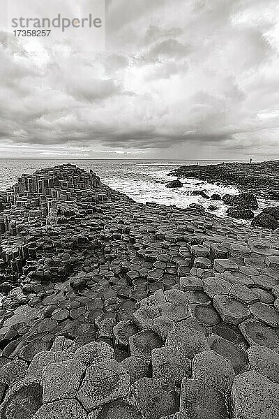 Küste mit Basaltsäulen  Giant's Causeway  Causeway Küste  Antrim  Nordirland  Großbritannien  Europa