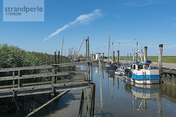 Kutterhafen  Spieka  Niedersachsen  Deutschland  Europa