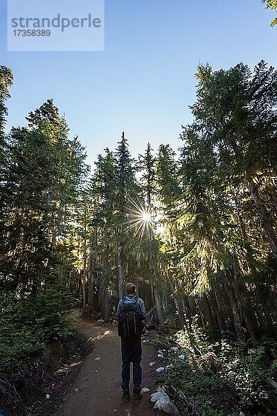 Junger Mann auf einem Wanderweg im Wald  Sonne scheint durch Bäume im Wald  Wanderweg zum Garibaldi Lake  Garibaldi Provincial Park  British Columbia  Kanada  Nordamerika