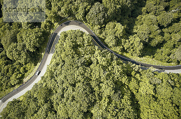 USA  Virginia  Luftaufnahme der Straße Back of Dragon  umgeben von grünem Wald im Sommer