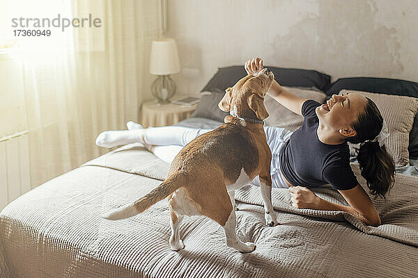 Fröhliches Mädchen spielt mit Beagle im Schlafzimmer zu Hause