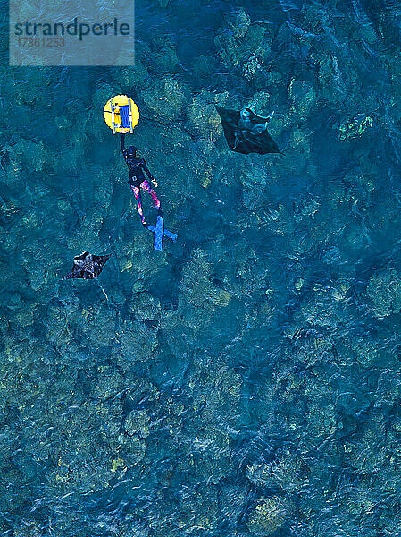 Luftaufnahme einer Frau  die zwischen zwei Mantarochen im blauen Wasser des Pazifischen Ozeans schwimmt