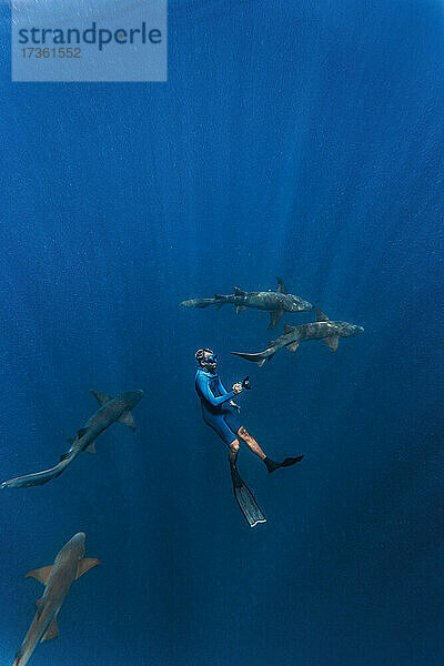 Junger Mann im Neoprenanzug beim Schnorcheln mit Ammenhaien unter Wasser