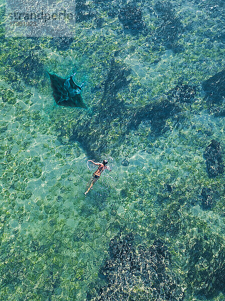 Luftaufnahme einer Frau  die in der Nähe eines Mantarochens im türkisfarbenen Wasser des Pazifischen Ozeans schwimmt