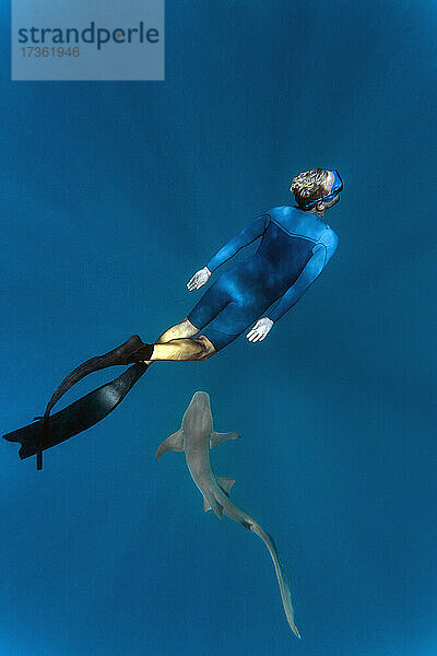 Junger Mann im Neoprenanzug beim Schnorcheln mit Ammenhai im Meer