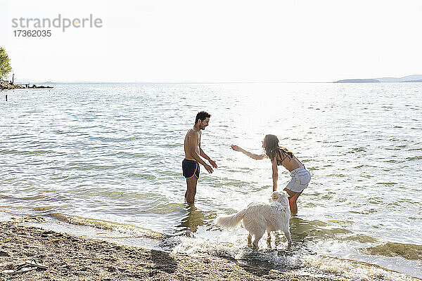 Ehepaar spielt mit Hund im Trasimenischen See an einem sonnigen Tag