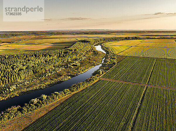 Luftaufnahme eines Flusses und großer landwirtschaftlicher Felder in der Abenddämmerung