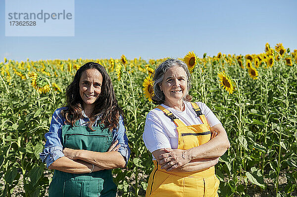 Lächelnde Bäuerinnen stehen mit verschränkten Armen auf einem Sonnenblumenfeld