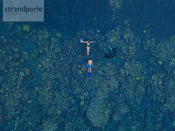 Luftaufnahme von zwei Menschen schwimmen in der Nähe von Mantarochen im blauen Wasser des Pazifischen Ozeans