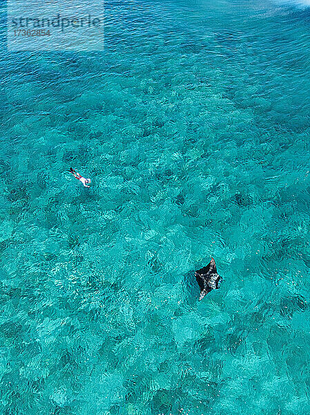 Luftaufnahme eines Mannes  der im Süd-Male-Atoll auf einen Mantarochen zuschwimmt