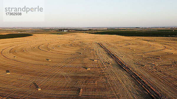 Landwirtschaftliches Feld bei Sonnenuntergang