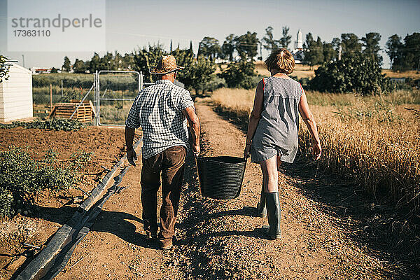 Arbeitendes älteres Paar  das einen Korb hält  während es an einem sonnigen Tag auf einem Feld spazieren geht
