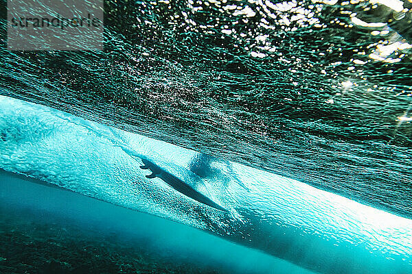Unterwasseransicht eines jungen Mannes beim Surfen im türkisfarbenen Wasser des Süd Male Atolls