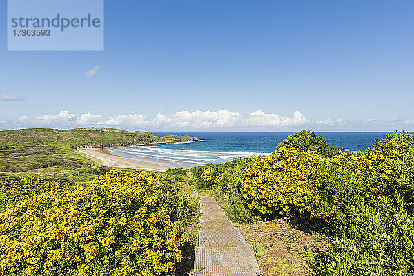 Küstenwanderweg im Killalea State Park