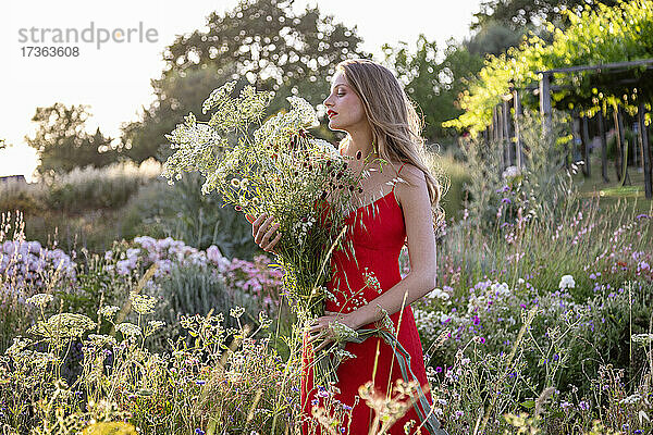 Blonde junge Frau in rotem Kleid hält Blumenstrauß im Feld