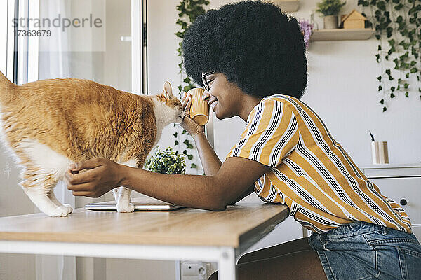 Afro-Frau spielt mit Katze auf Schreibtisch zu Hause