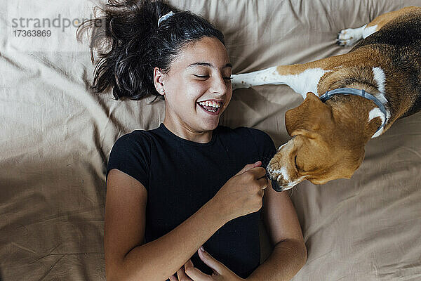 Glückliches Mädchen spielt mit Beagle  während sie zu Hause auf dem Bett liegt