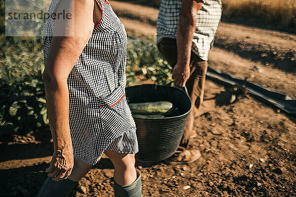 Ältere Mitarbeiter halten einen Gemüsekorb  während sie über ein Feld laufen