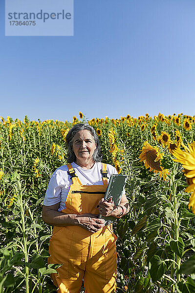 Ältere Landarbeiterin mit Buch auf einem Sonnenblumenfeld