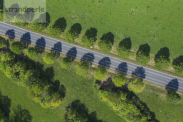 Drohnenansicht einer mit Bäumen gesäumten Landstraße im Frühling