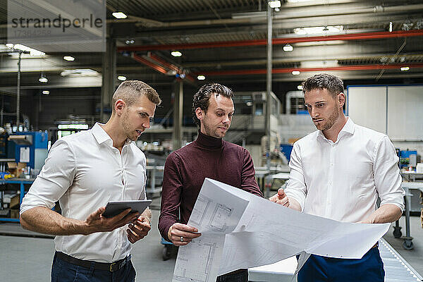 Männliche Fachleute diskutieren in einer Fabrik über einen Bauplan