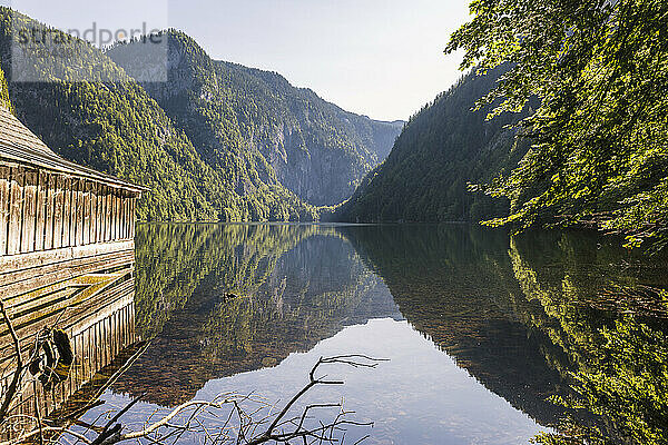 Bewaldetes Tal  das sich auf der glänzenden Oberfläche des Toplitzsees im Sommer spiegelt