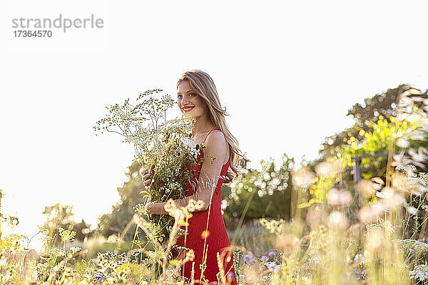 Lächelnde blonde Frau  die wegschaut  während sie einen Strauß Wildblumen im Feld hält