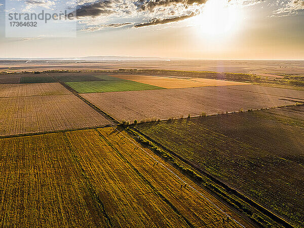 Landwirtschaftliche Felder bei Sonnenuntergang  Vojvodina  Serbien