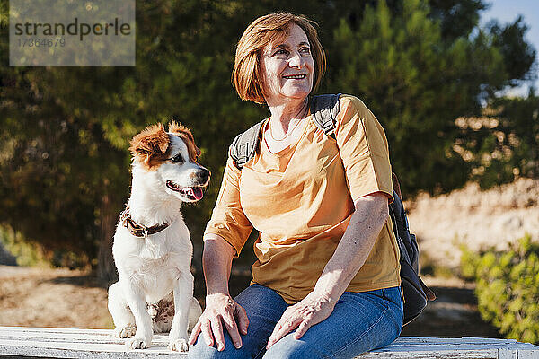Lächelnde ältere Frau schaut weg  während sie mit ihrem Hund auf einer Bank sitzt