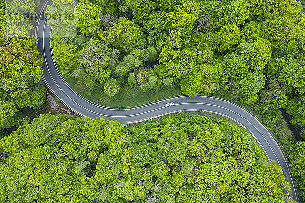 Luftaufnahme einer asphaltierten Straße  die sich durch einen grünen Frühlingswald schlängelt