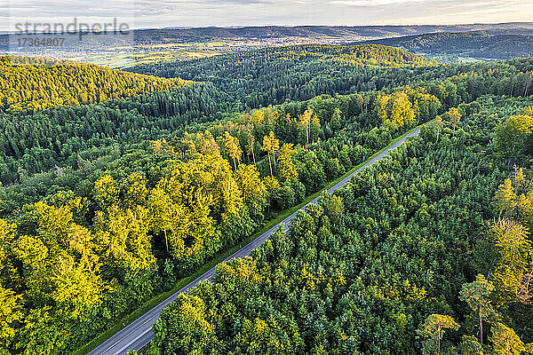 Landschaftlicher Blick auf die Straße durch den Wald
