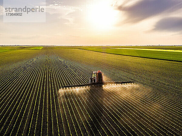 Luftaufnahme eines Traktors beim Sprühen von Sojabohnen bei Sonnenuntergang