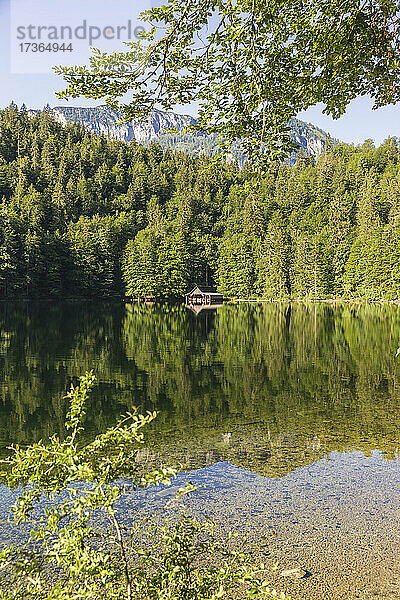Toplitzsee mit Spiegelung des umliegenden Waldes im Sommer