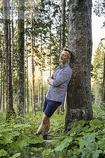 Mann mit verschränkten Armen lehnt an einem Baum im Wald