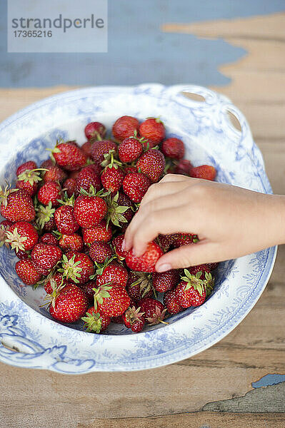 Mädchen nimmt frische rote Erdbeeren vom Teller auf