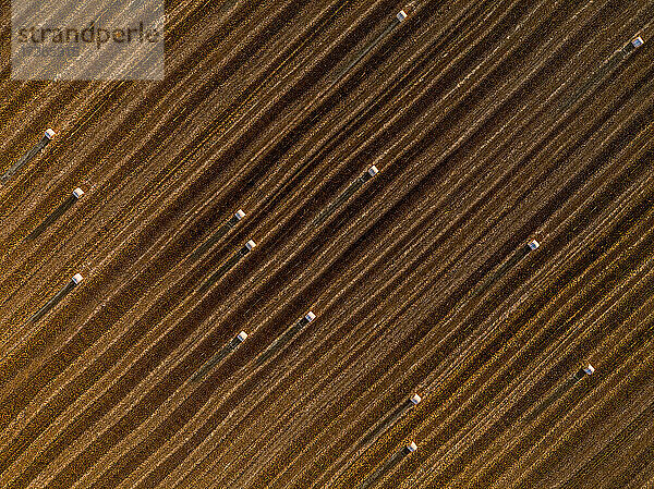 Luftaufnahme von Heuballen auf einem gepflügten Feld in der Abenddämmerung