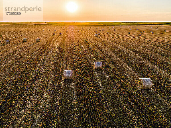 Luftaufnahme von Heuballen auf einem gepflügten Feld bei Sonnenuntergang