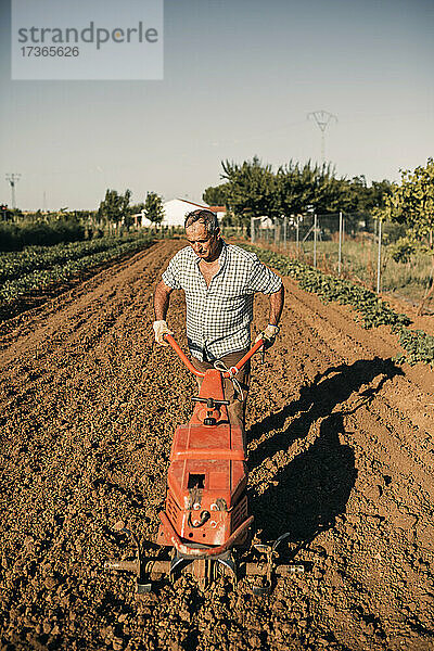 Männlicher Landarbeiter pflügt an einem sonnigen Tag das Land mit einer Egge