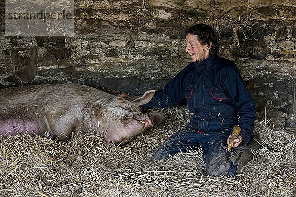 Frau kniet auf Stroh in einem Schweinestall  neben einer Sau mit ihren Ferkeln.