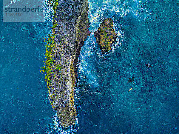 Luftaufnahme eines Mannes  der mit Mantarochen in der Nähe der Küstenklippe der Insel Nusa Penida schwimmt