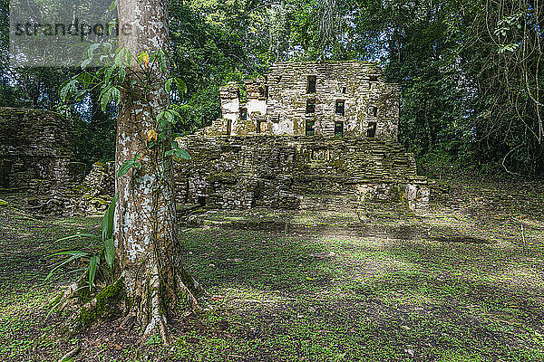 Mexiko  Chiapas  Archäologische Stätte der Maya von Yaxchilan