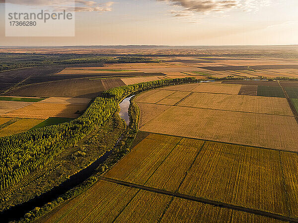 Reifes landwirtschaftliches Feld bei Sonnenuntergang  Vojvodina  Serbien